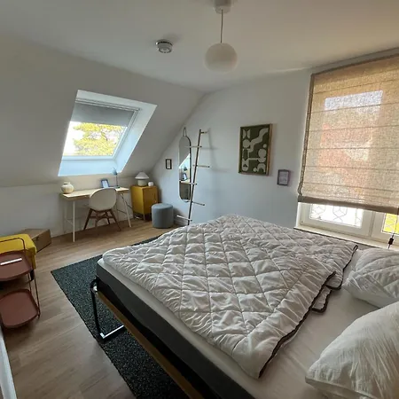 Blaumuschel Haus A 20 - Dh Apartment Lubmin